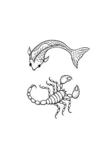 457x640 20 Elegant Scorpion Coloring Pages Msainfo.us