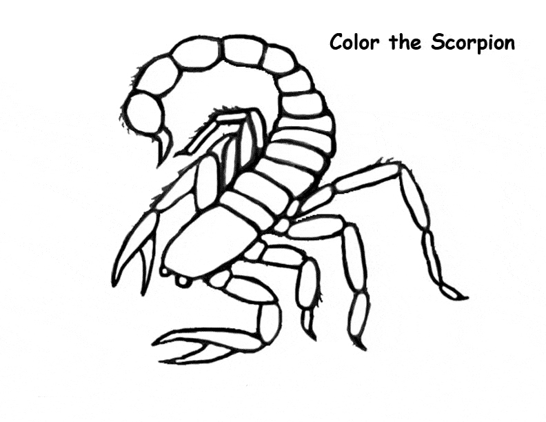 792x612 12 Lovely Scorpion Coloring Pages Logo And Design Ideas