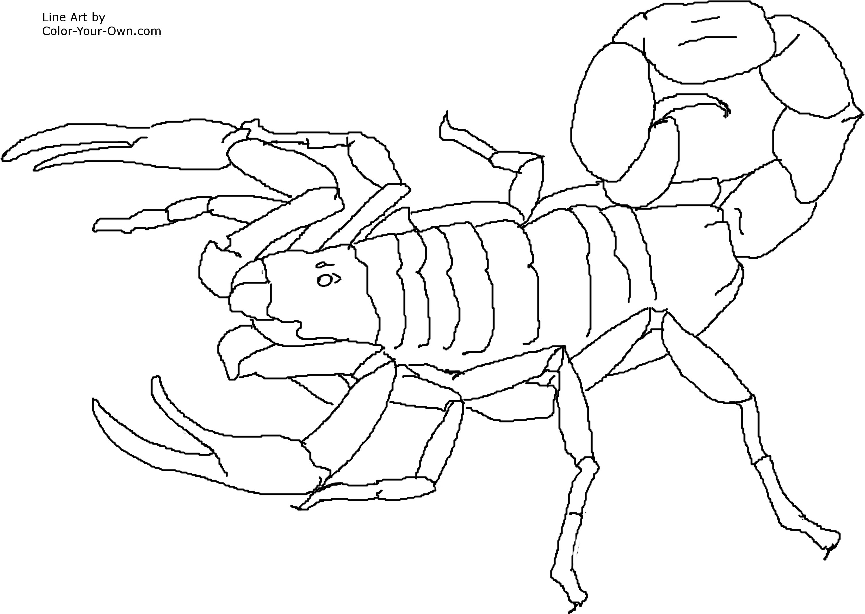 3000x2129 Scorpion Coloring Pages