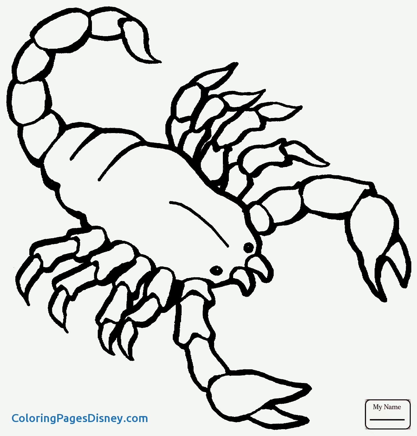 1465x1530 Scorpion Coloring Pages Unique Page 20 Rockandreillysnyc Find