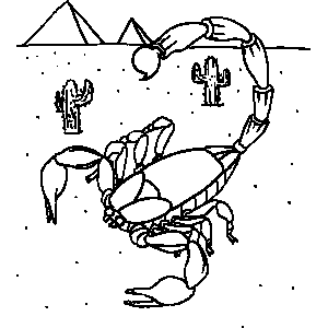 300x300 Scorpion Coloring Sheet