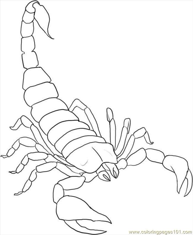 650x791 Scorpion Coloring Pages To Download And Print For Free