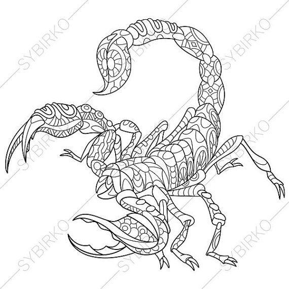 570x570 Scorpion. Scorpio Zodiac Sign. Coloring Page. Animal Coloring