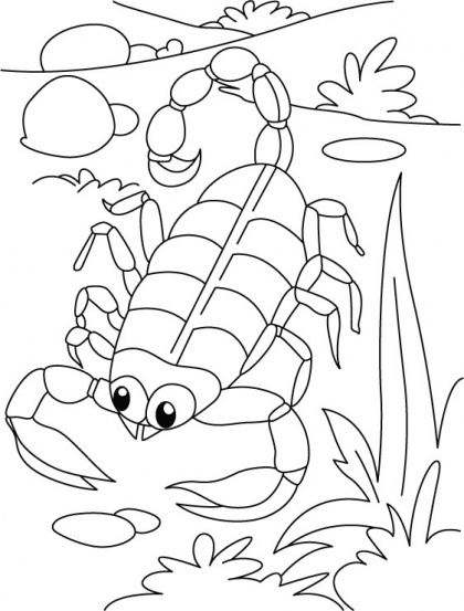 420x553 Top 10 Free Printabe Scorpion Coloring Sheets For Your Toddler
