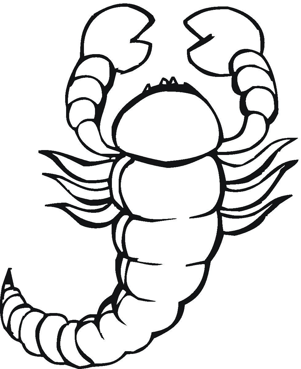 979x1200 Free Printable Scorpion Coloring Pages For Kids