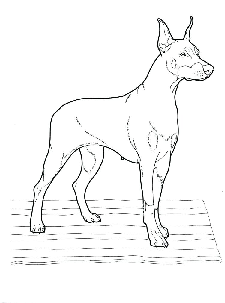 Scottish Coloring Pages Click To See Printable Version Flag 750x1012 Scottish Coloring Pages Click To See Printable Version Flag