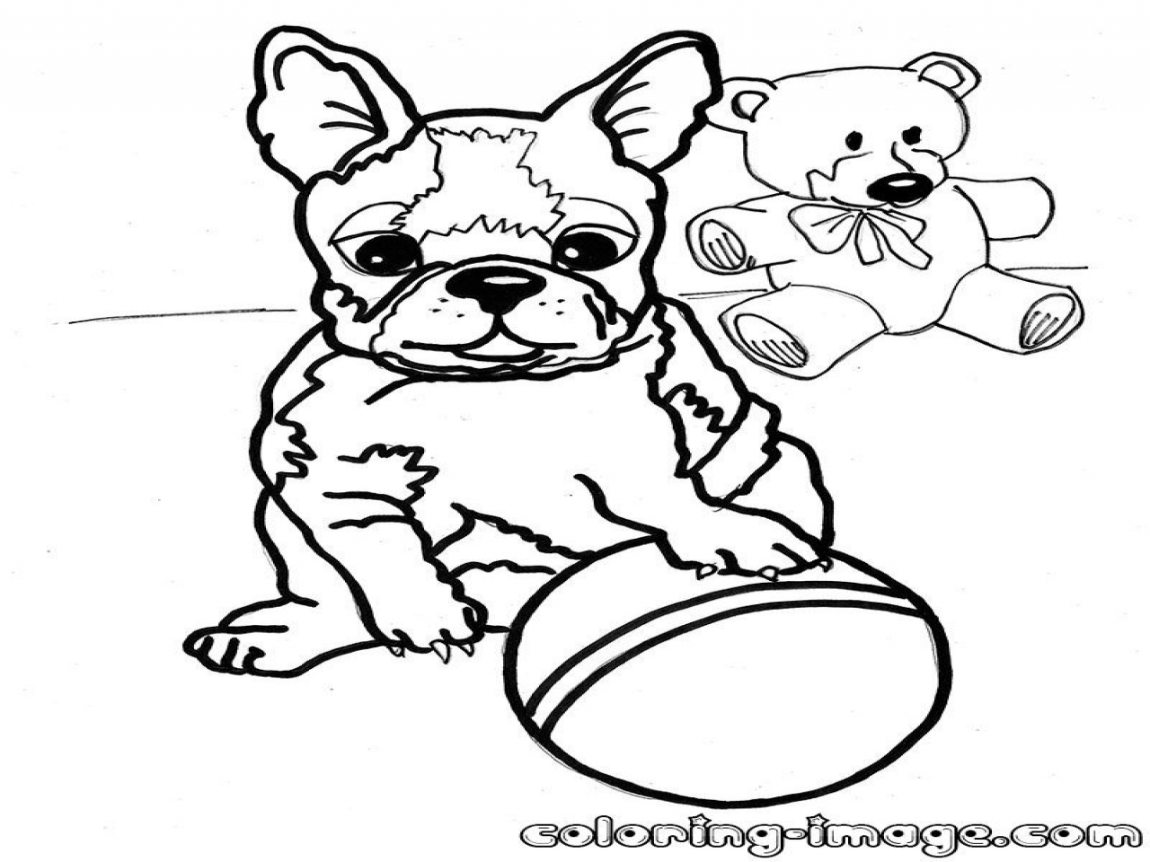 Boston Terrier Coloring Pages 1280x960 Boston Terrier Coloring Pages
