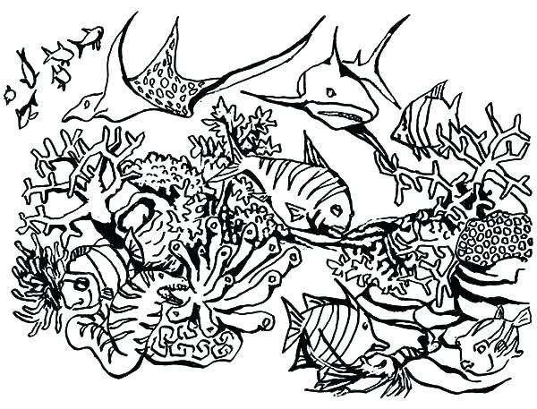 600x457 Scuba Diver Coloring Page Scuba Diver Coloring Page Ecosystem