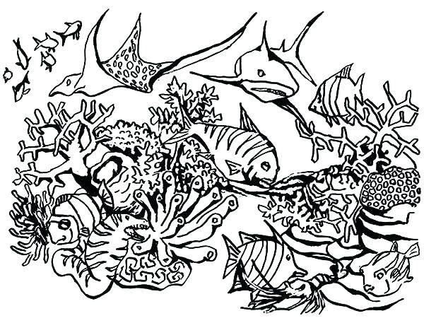 600x457 Scuba Diving Coloring Page High Quality Coloring Pages
