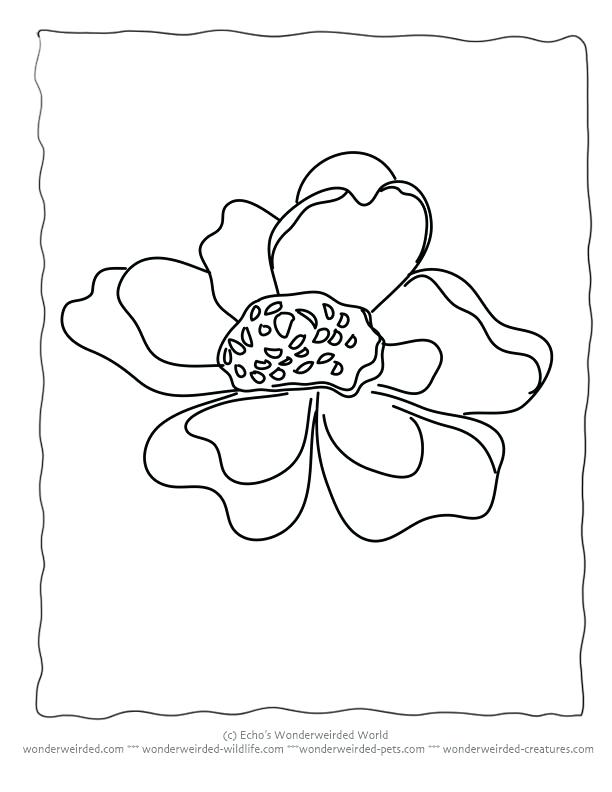 Sea Anemone Coloring Page Sea Anemone Coloring Pages Coloring 612x792 Sea Anemone Coloring Page Sea Anemone Coloring Pages Coloring