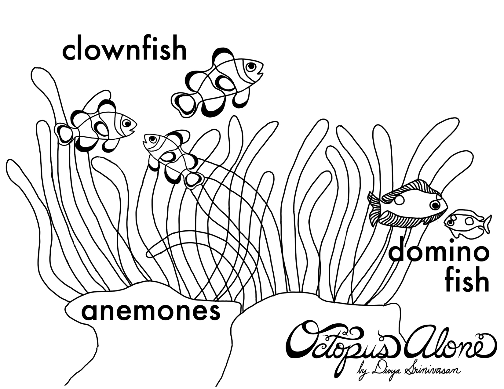 Sea Anemone Drawing For Kids 1650x1275 Sea Anemone Drawing For Kids