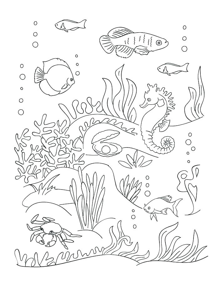 Seaweed Coloring Pages Sea Anemone Coloring Page Seaweed Coloring 675x900 Seaweed Coloring Pages Sea Anemone Coloring Page Seaweed Coloring