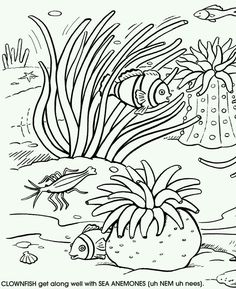 Underwater Sea Life Coloring Pages Finger Paint Sea Creatures 236x289 Underwater Sea Life Coloring Pages Finger Paint Sea Creatures
