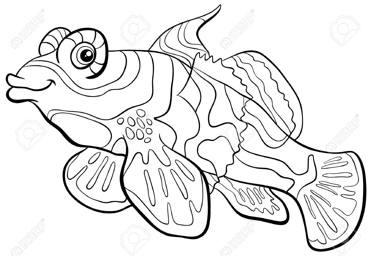Inspirational Black And White Cartoon Illustration Mandarin Fish 1300x897 Inspirational Black And White Cartoon Illustration Mandarin Fish