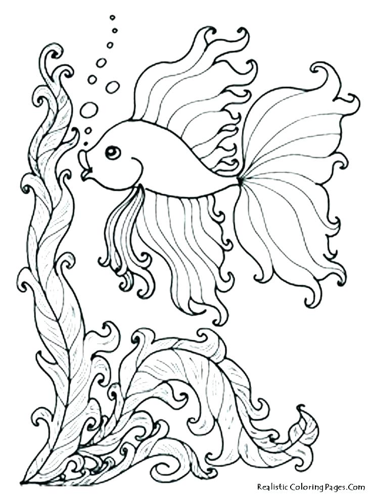 Ocean Color Pages Sea Anemone Coloring Page Printable Ocean Waves 736x981 Ocean Color Pages Sea Anemone Coloring Page Printable Ocean Waves