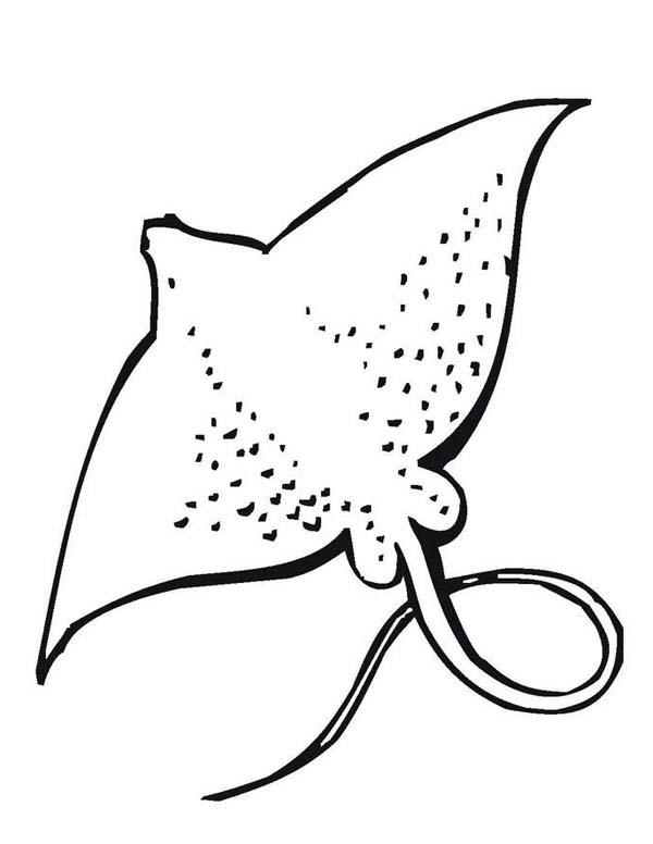 Giant Stingray Free Sea Animals Coloring Page 600x776 Giant Stingray Free Sea Animals Coloring Page