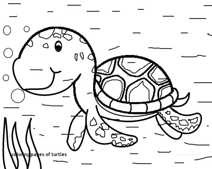 Ocean Animal Coloring Pages Water Animals Coloring Pages Fancy 736x588 Ocean Animal Coloring Pages Water Animals Coloring Pages Fancy