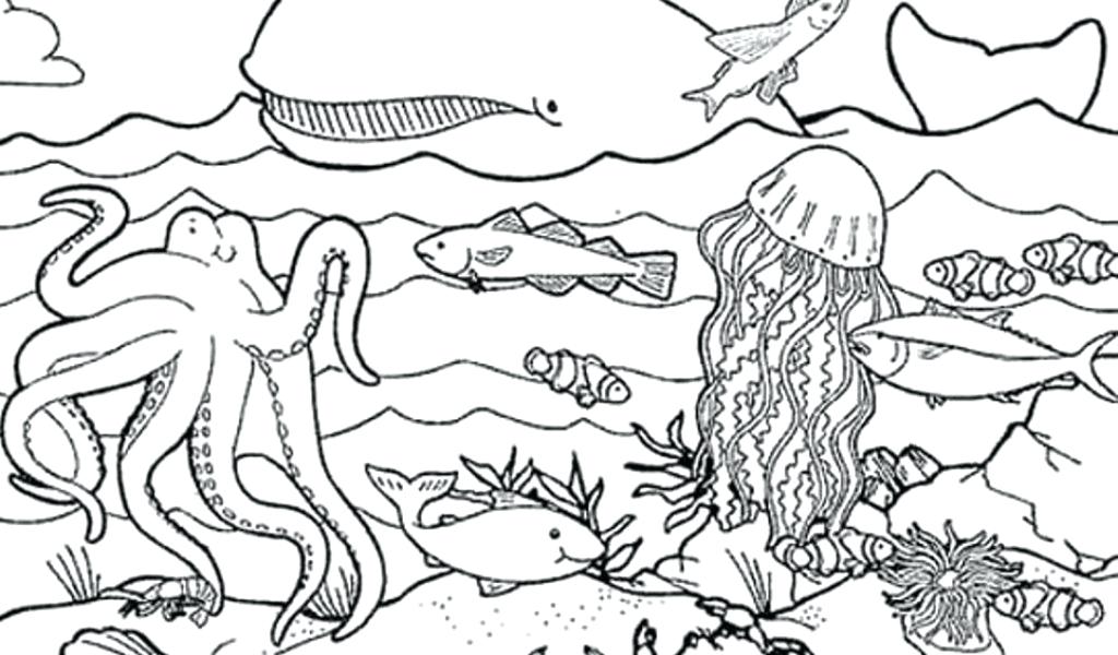 1024x600 Sea Animals Coloring Pages Coloring Kids Pages Sea Animals