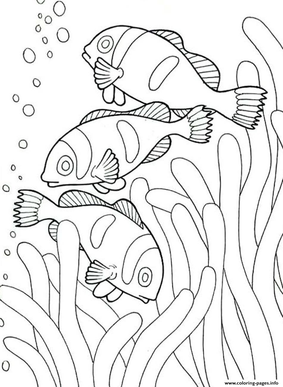951x1303 Coloring Pages Of Sea Animals Clown Fish53dd Coloring Pages Printable