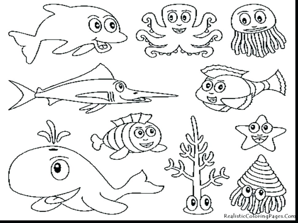 970x727 Coloring Pages Of Sea Animals Ocean Animals Coloring Pages