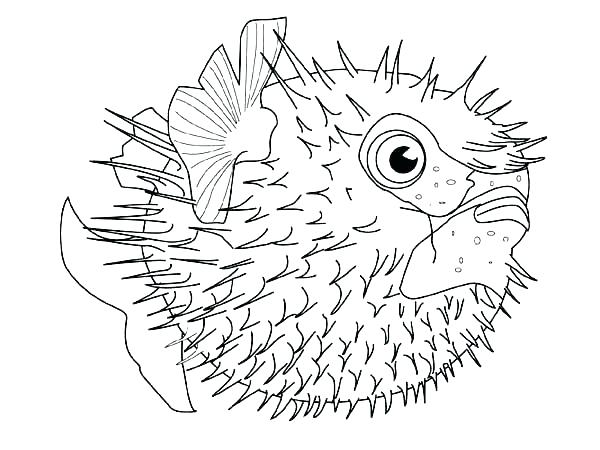 Animal Coloring Pages Sea Animals Fish Free Page Download Print 600x450 Animal Coloring Pages Sea Animals Fish Free Page Download Print