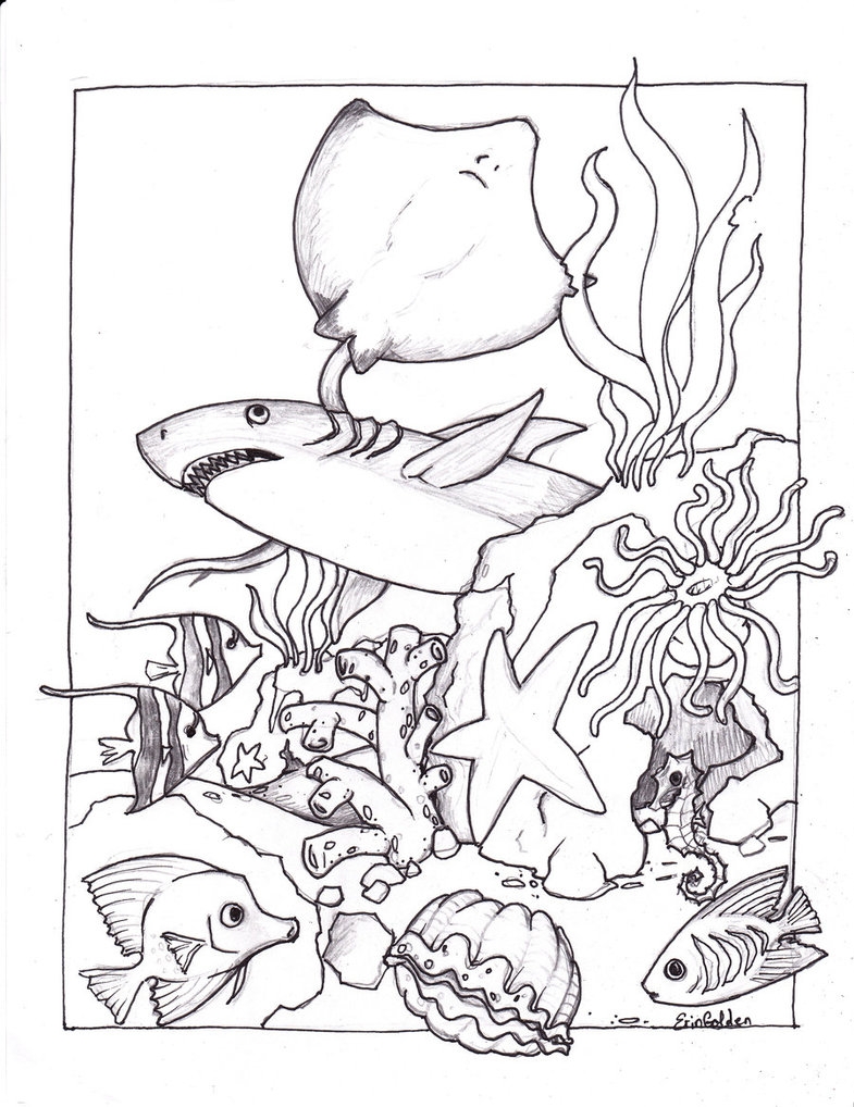 785x1018 Printable Best S Of Free Printable Sea Animals Coloring Pages