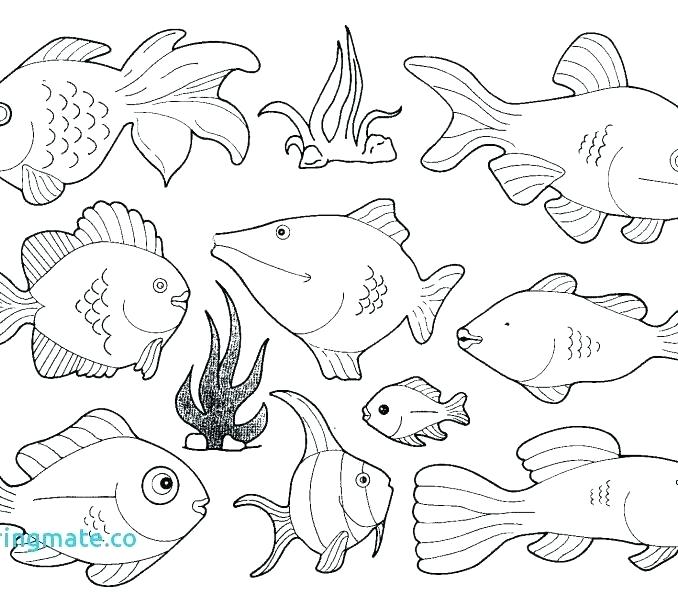 678x595 Sea Animal Coloring Pages Printable Free