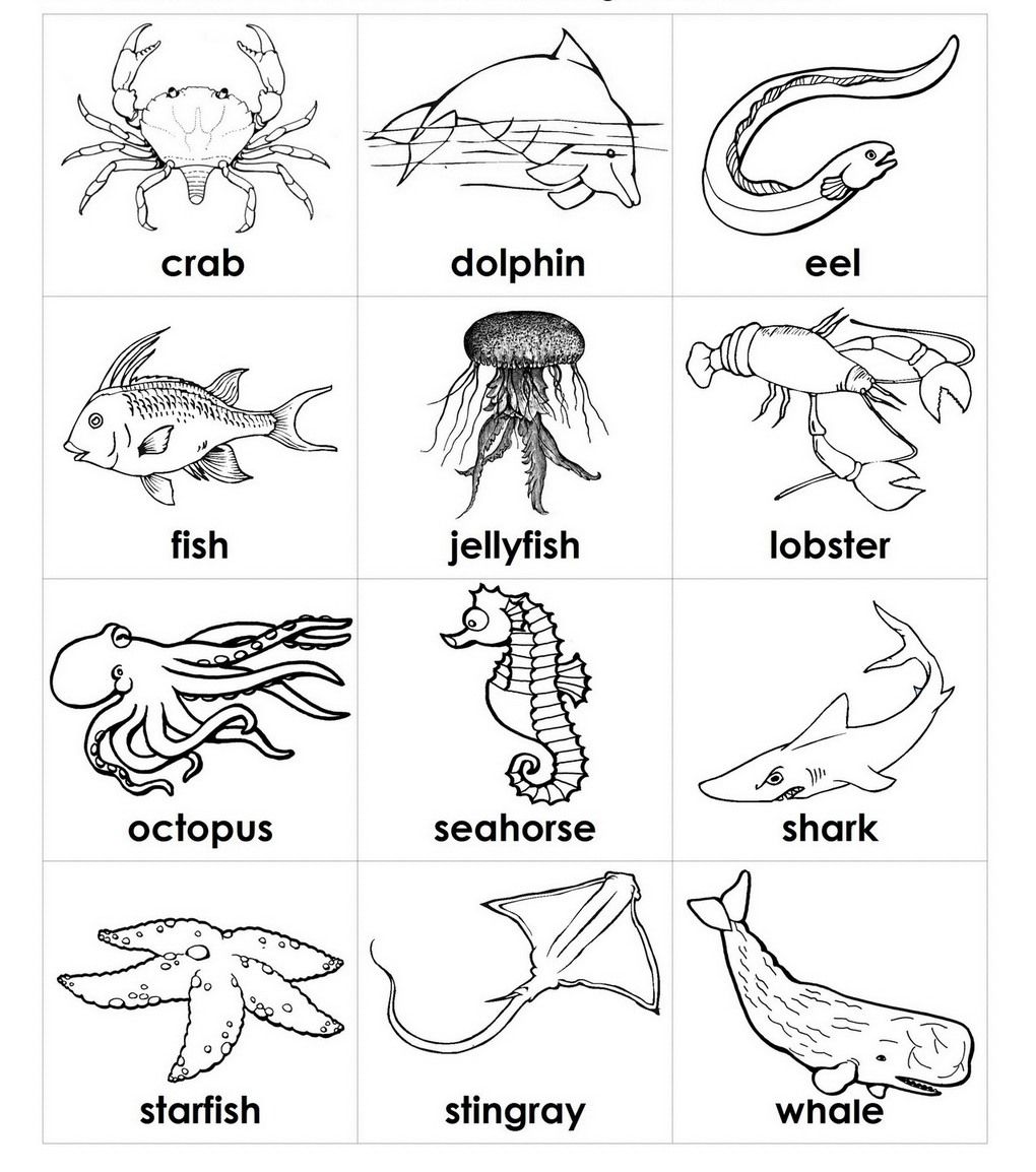 1020x1154 Download And Print Coloring Pages Of Sea Animals Preschool