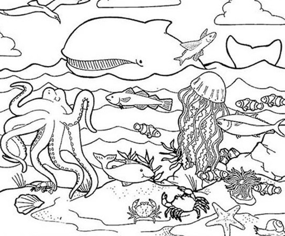 Habitat Coloring Pages Sea Animals Animal Coloring Pages 963x799 Habitat Coloring Pages Sea Animals Animal Coloring Pages