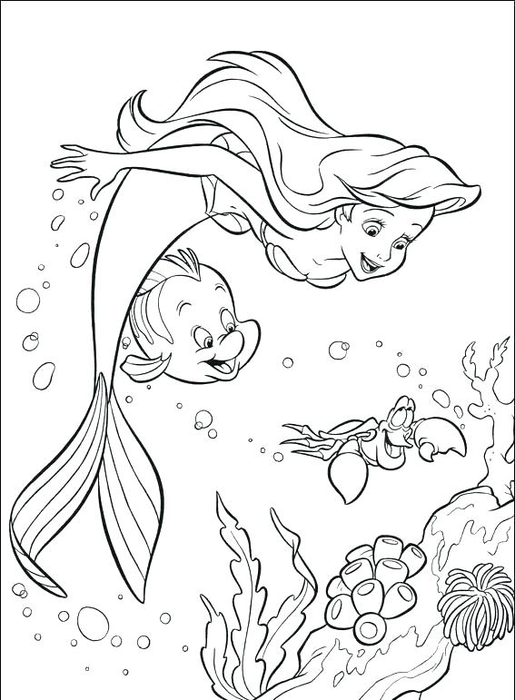 Marine Coloring Page Ocean Life Coloring Pages Full Size 567x771 Marine Coloring Page Ocean Life Coloring Pages Full Size