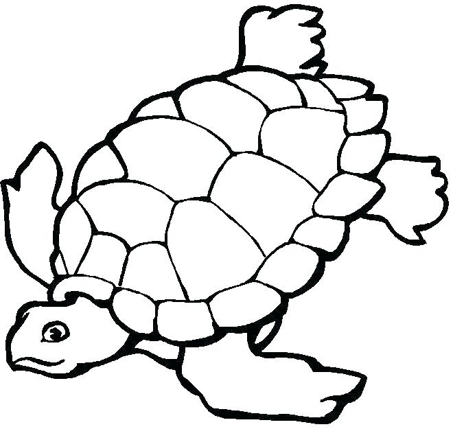 Ocean Coloring Pages Ocean Coloring Pages For Adults Ocean 660x625 Ocean Coloring Pages Ocean Coloring Pages For Adults Ocean