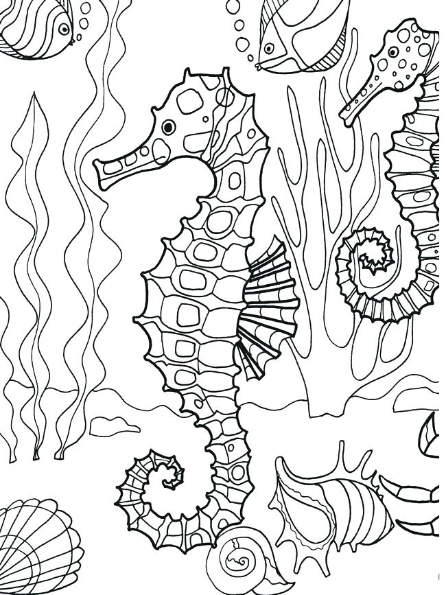 Ocean Life Coloring Pages Underwater Sea Creatures Coloring Pages 650x867 Ocean Life Coloring Pages Underwater Sea Creatures Coloring Pages