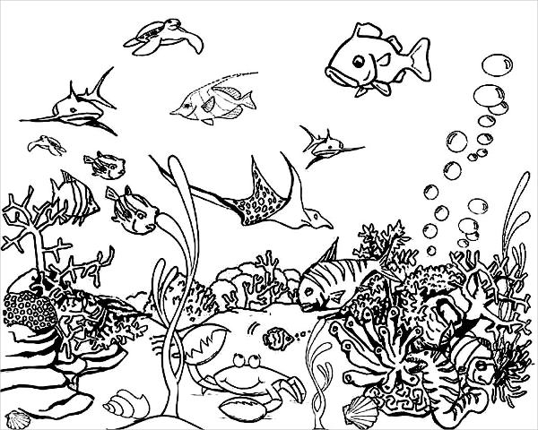 Sea Coloring Pages 600x480 Sea Coloring Pages