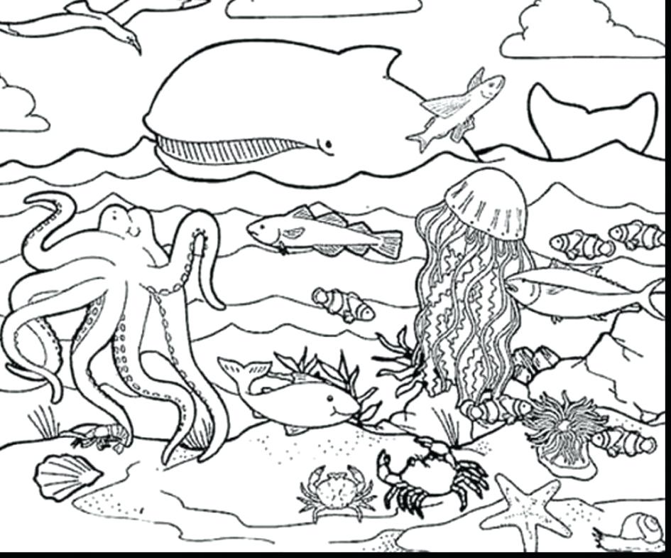Sea Creatures Coloring Page 945x785 Sea Creatures Coloring Page