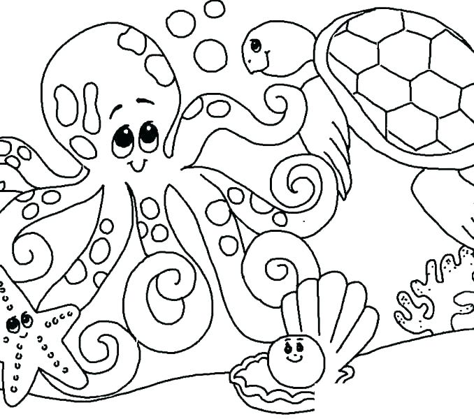 Shell Coloring Pages Sea Shells Coloring Pages Sea Shells Coloring 678x600 Shell Coloring Pages Sea Shells Coloring Pages Sea Shells Coloring