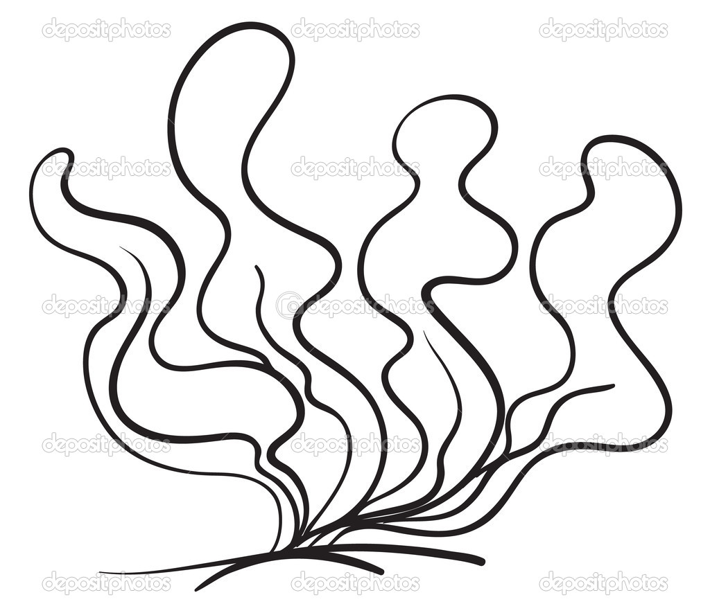 Coloring Pages. Ocean Plants Coloring Pages 1024x885 Coloring Pages. Ocean Plants Coloring Pages