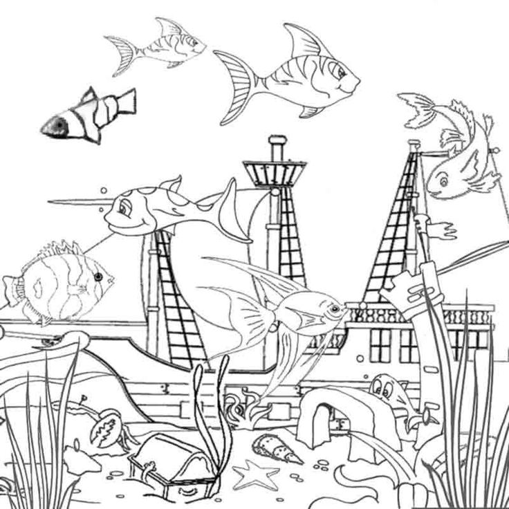 Ocean Coloring Pages 736x736 Ocean Coloring Pages