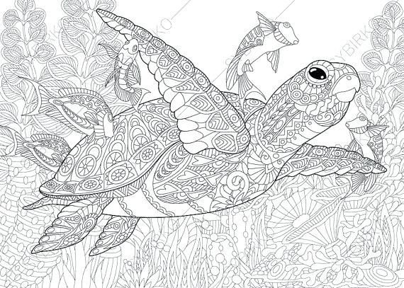 Sea Turtle Coloring Pages To Print Free Printable Sea Turtle Adult 570x407 Sea Turtle Coloring Pages To Print Free Printable Sea Turtle Adult