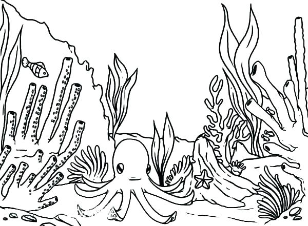 Coral Reef Coloring Page Coloring Pages Of Coral Reefs Coral 600x441 Coral Reef Coloring Page Coloring Pages Of Coral Reefs Coral
