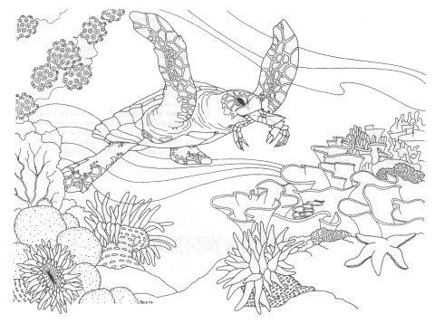 Drawn Coral Reef Coloring Page 480x357 Drawn Coral Reef Coloring Page