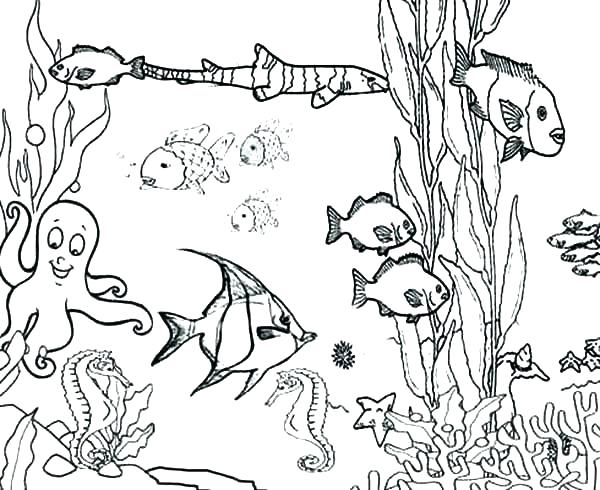 Coloring Pages Ocean Coral Coloring Pages Ocean Fish Coloring 600x490 Coloring Pages Ocean Coral Coloring Pages Ocean Fish Coloring