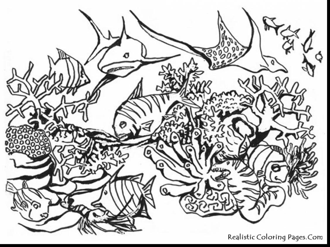 1126x844 Ocean Animals Coloring Pages Awesome Animal Sea Creatures Best