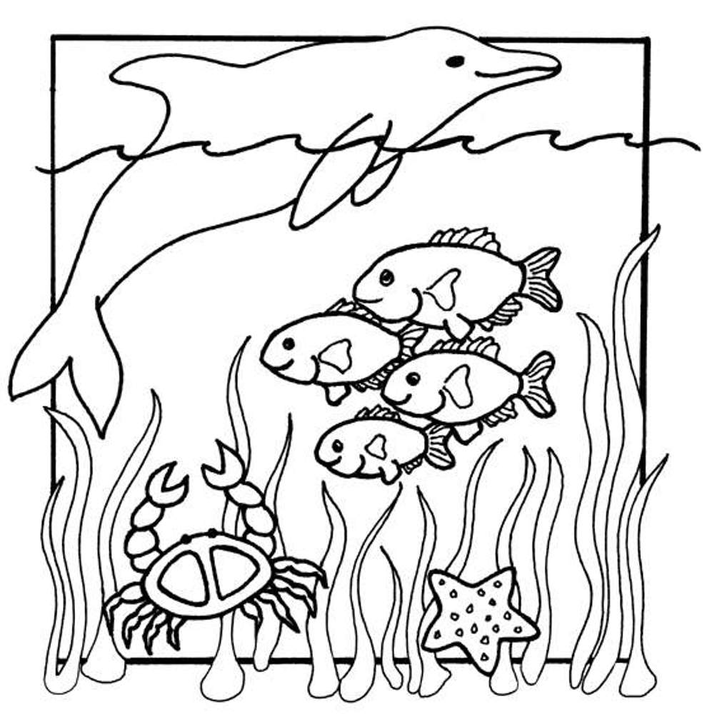 997x1007 Ocean Animal Coloring Pages With Wallpapers Free Download