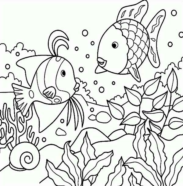 600x610 Sea Animals Printable Coloring Pages Sea Animals Coloring Pages