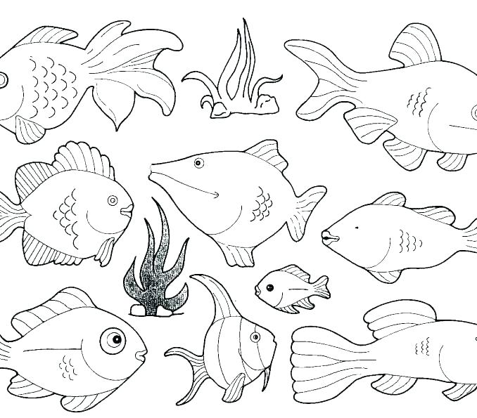 678x595 Coloring Pages Sea Animals Sea Animals Coloring Page Could Use