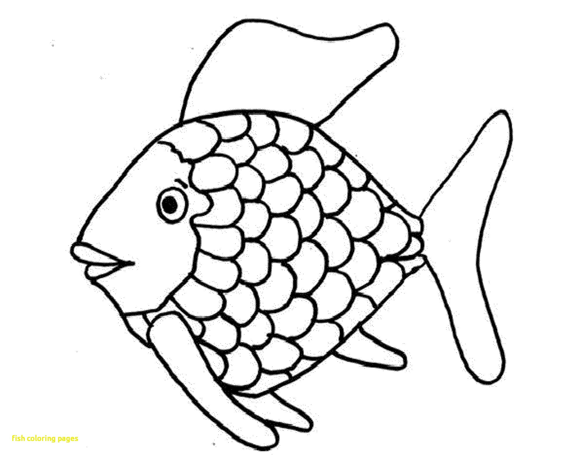 2000x1560 Rainbow Fish Coloring Pages Of Sea Animals Animal Stuning