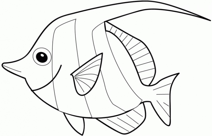 700x452 Sea Fish Coloring Pages