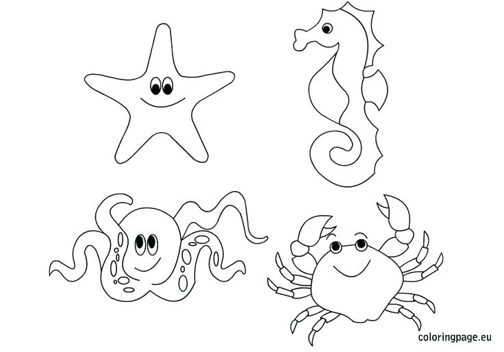 736x514 Marine Coloring Pages Marine Fish Coloring Pages Mature Colors O