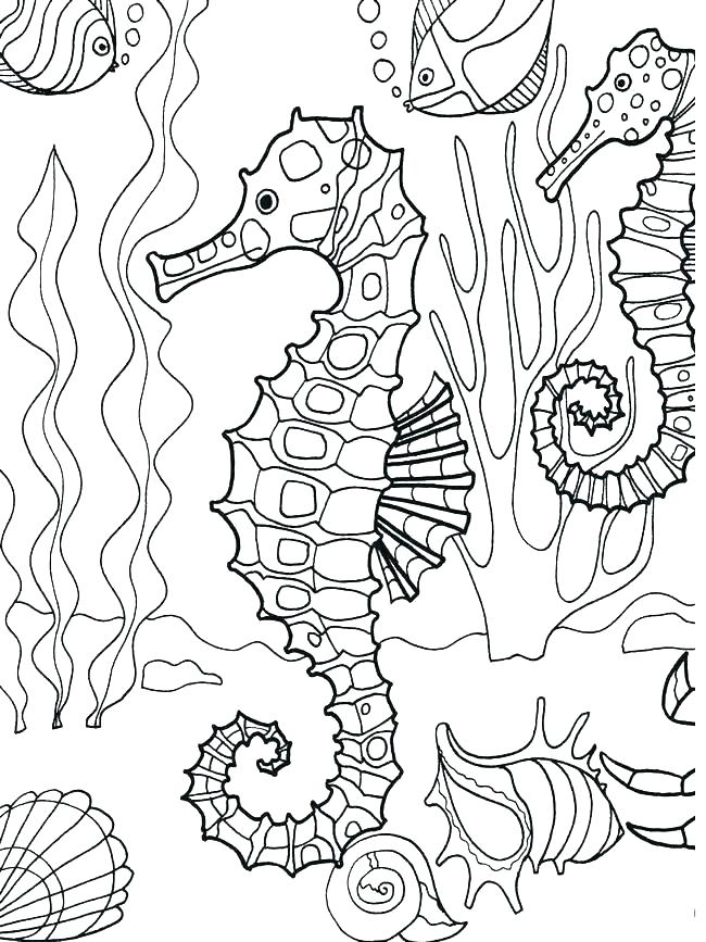 650x867 Ocean Life Coloring Pages
