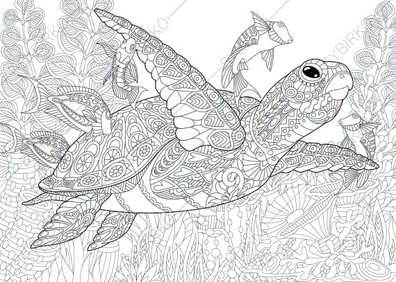 570x407 Sea Animal Coloring Pages Sea Shell Coloring Page Marine Life